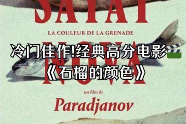 石榴木命人的色彩选择：让生活更精彩的色彩密码