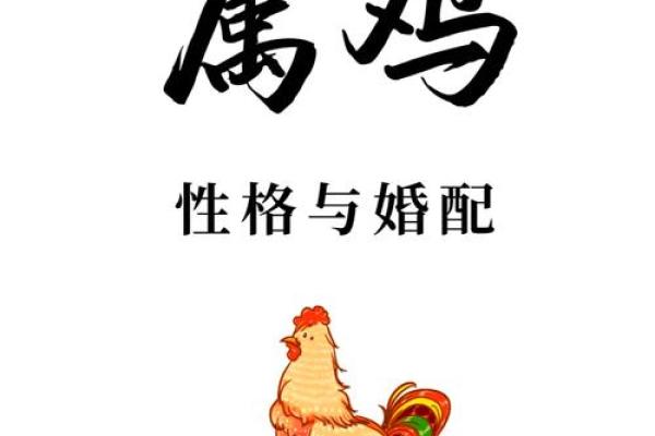 1993属鸡男命运解析：奋斗与精彩的生命旅程