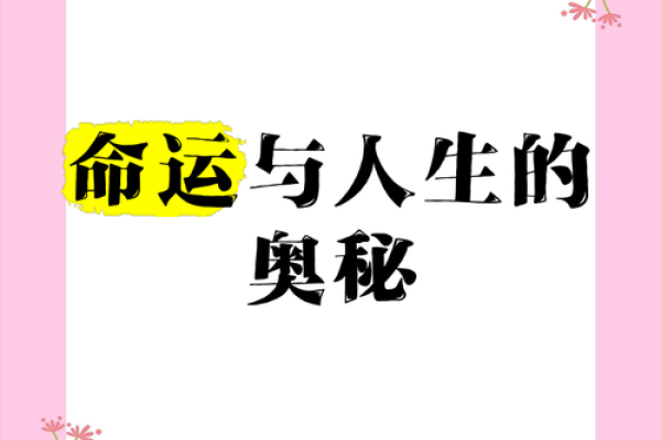 探索自我命运：揭示你的命理人生之旅