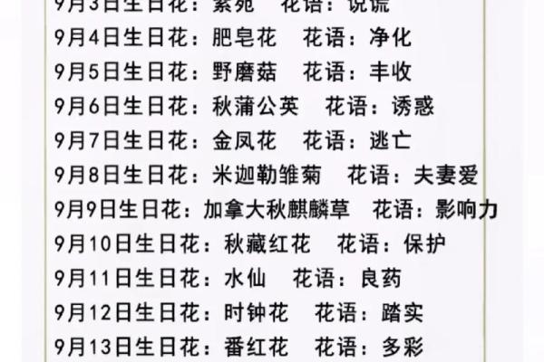 探寻出生月份的花语与命运：不同花朵背后的独特寓意
