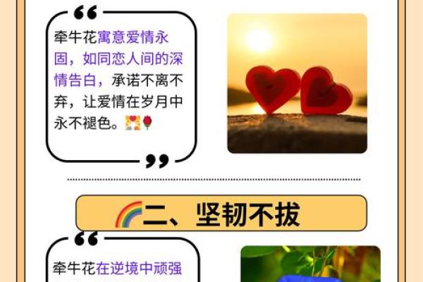 探寻出生月份的花语与命运：不同花朵背后的独特寓意