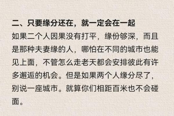 探寻命运与神仙缘分的奥秘：你我之间的微妙联系
