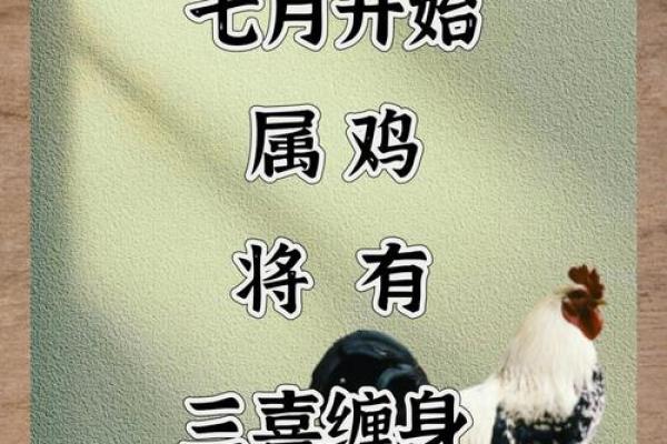 探讨鸡年宝宝诞生于七月的命运与性格特点