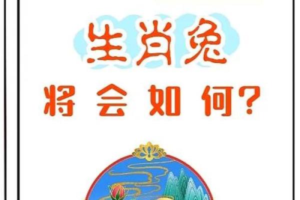 阴历2003年生肖兔：命运、性格与事业发展全解析