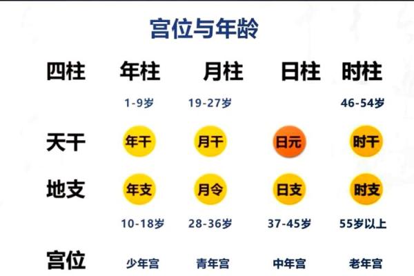 男命年柱与女命日柱的契合：命理中的情感旅程探秘