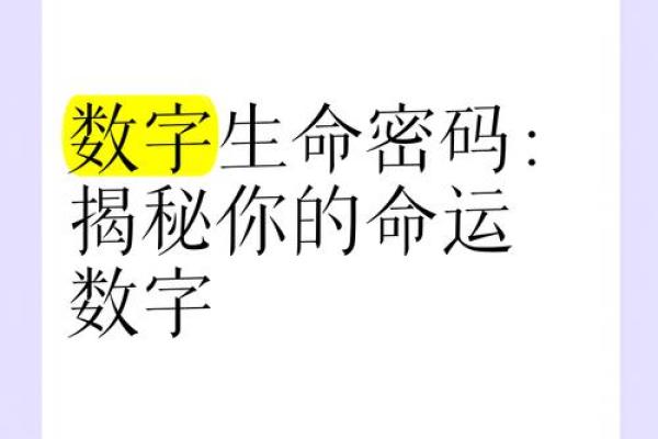 探秘姓名数字：揭开13画名字的命运密码！