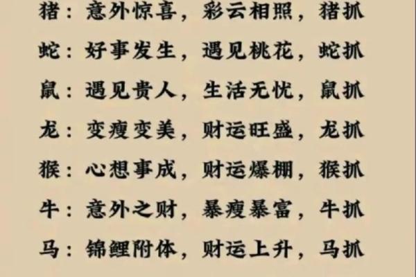 揭秘：2023年12月兔子的命运与性格运势分析
