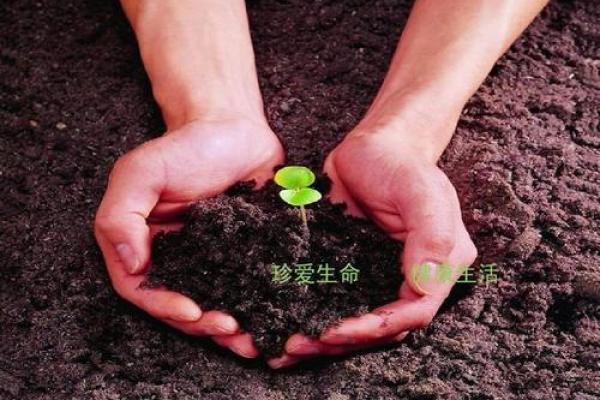 救条命一命值千金，珍惜生命的深刻启示