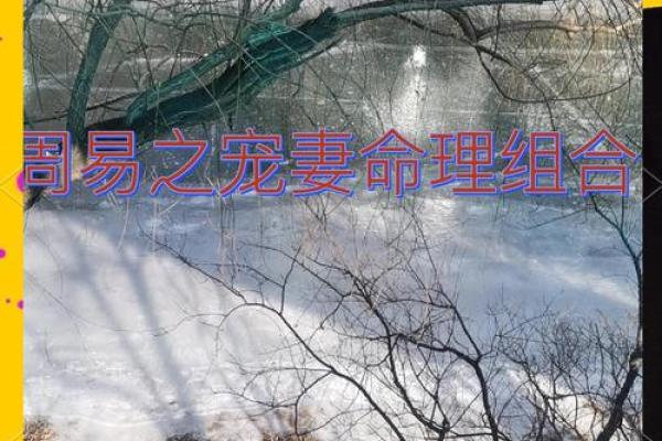 命理探索：什么命格的人拥有顺遂人生？