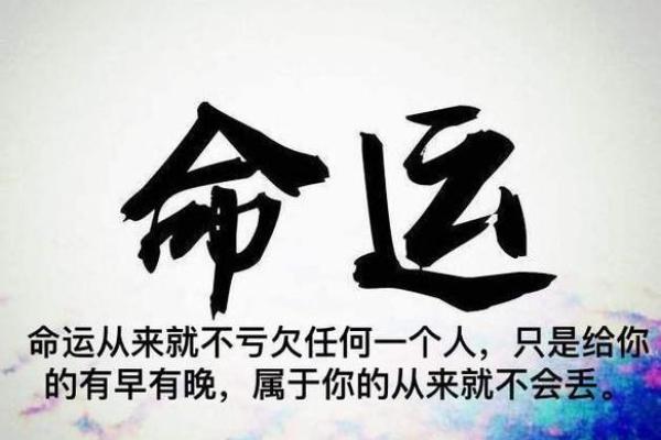 88年属龙人的命运解析：如何掌握人生的风向标