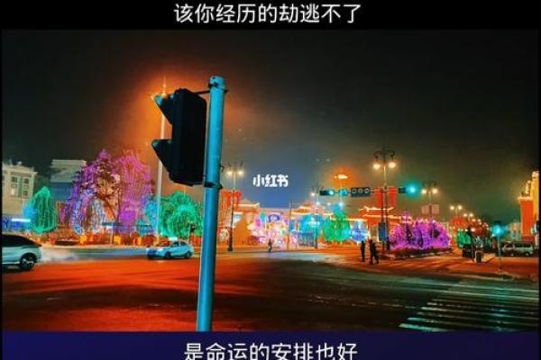 你相信命运的安排吗？探索人与命的千丝万缕关系！