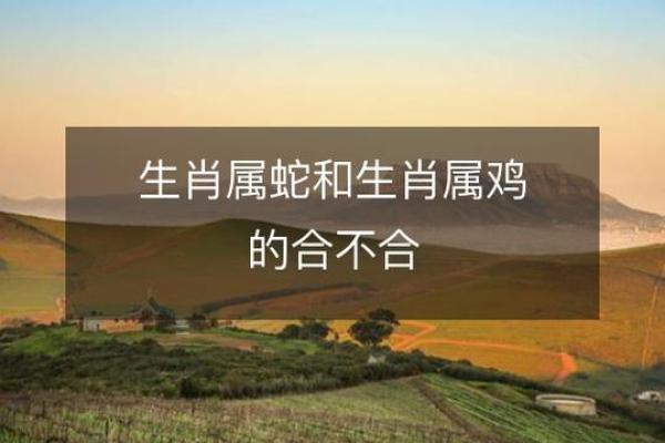 属鸡人士的婚配之道：命理与爱情的结合