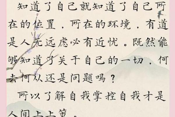 命主与命宫的深刻差异探讨，揭开命理之谜的面纱