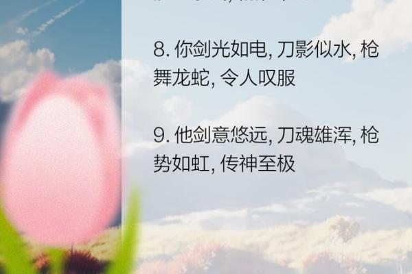 揭秘命剑的深层含义与实际应用，让你轻松掌握人生方向！