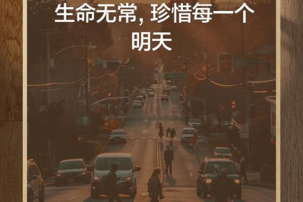 “命字的深意：无常与希望的交织之旅”