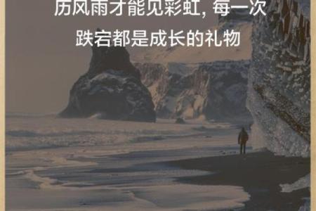 人生大起大落，命理深意揭示命运之轮转动
