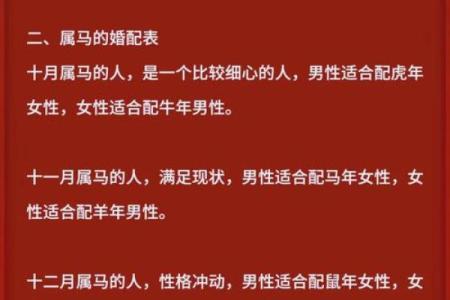 90年属马人的命运解析与生活智慧