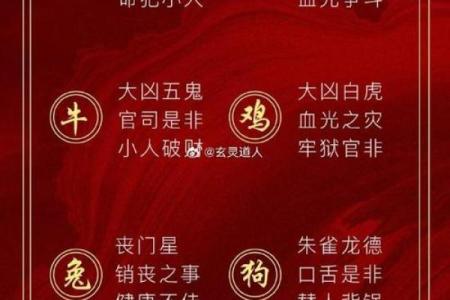 命里无财的含义及其与生肖的关系探讨