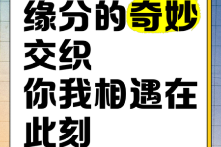 探寻命运与神仙缘分的奥秘：你我之间的微妙联系