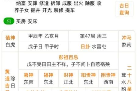 牛年辛卯月：探秘命理与运势的交织之道