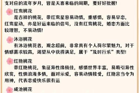 属狗的人短命的命理解析与人生智慧