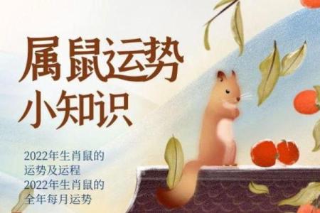 2020年鼠年运势解析：揭秘鼠命人全年运势与生活指南