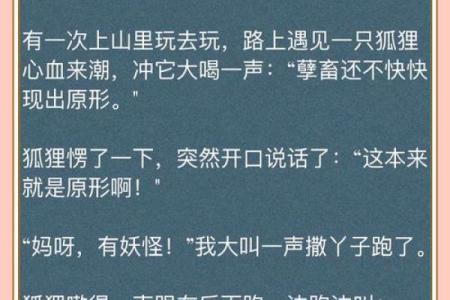 命不由天，似水流年——一场关于动物的启示之旅