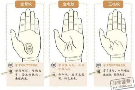 通过手相与风水，揭示你的命格与人生潜能
