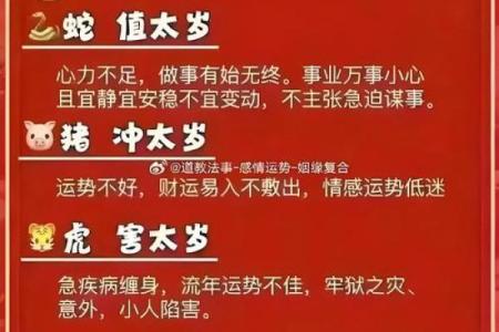 40年后的命运：揭示哪个月份出生最为幸运