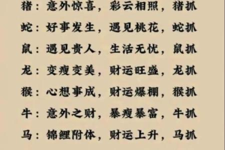 揭秘：2023年12月兔子的命运与性格运势分析