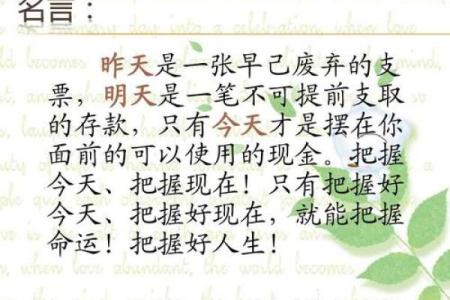 今天出生的人命格分析：揭开命运之谜，找到人生方向