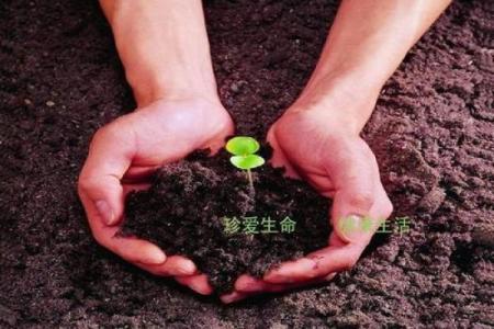救条命一命值千金，珍惜生命的深刻启示