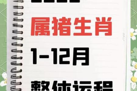 1995年属猪女生：命理解析与人生指引