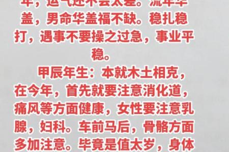 命今转运与生肖运势解析：如何利用生肖优势提升运势