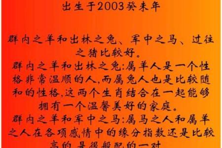 2000属龙人的命运解析：探索不同五行与性格特征