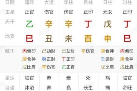 探讨丙申年丁酉月命理奥秘，揭秘个人命运的密码