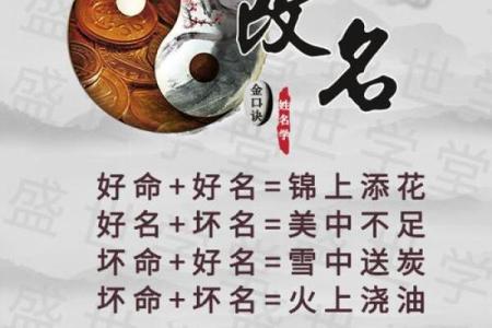 88年属龙人的命运解析：如何掌握人生的风向标