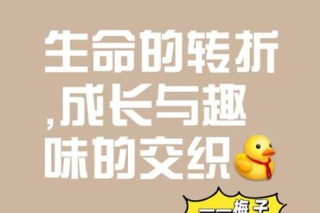 2020年：命运的转折点与人生的启示