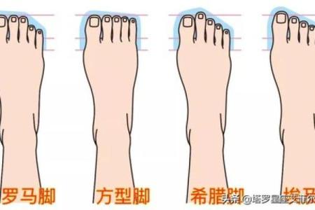 探索脚骨头往外的命运解析：从脚相看人生轨迹