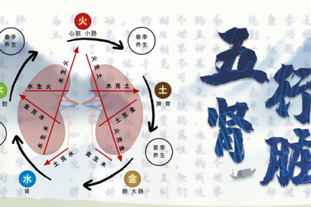 金木相生：合作中的和谐之道与注意事项