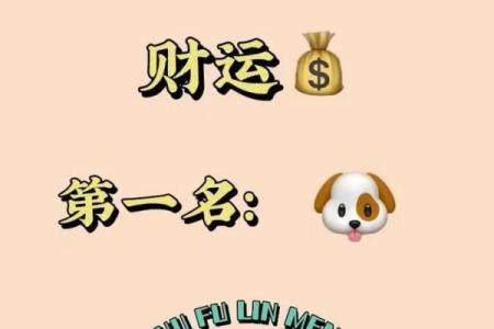 属狗1994年男命解析：性格特点与未来运势