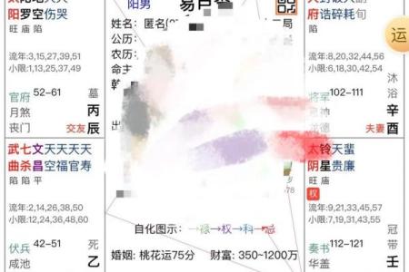 命主与命宫的深刻差异探讨，揭开命理之谜的面纱