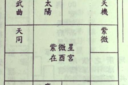 探索命盘的奥秘：如何解读命理中的绝代表含义