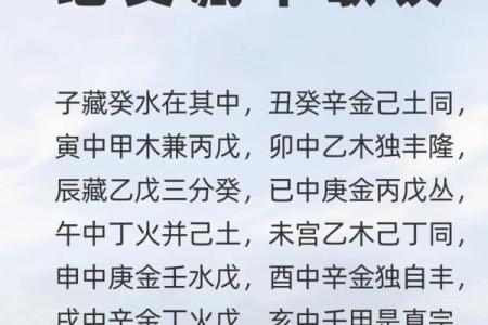 解析己巳甲戌戊午丙辰命理，探寻人生的智慧与方向