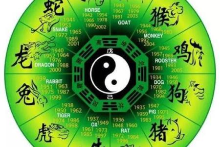 生肖运势：不同月份出生的人命格解析与趣味分享