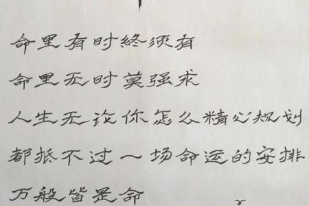 “命字的深意：无常与希望的交织之旅”