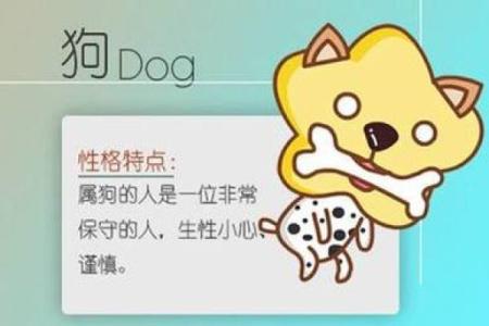 1994年狗年宝宝的命运与人生解析：细腻与勤奋的结合