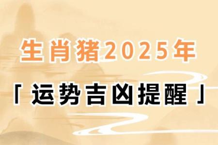 69年属猪人：命中的幸运与挑战，如何把握人生的每个机遇