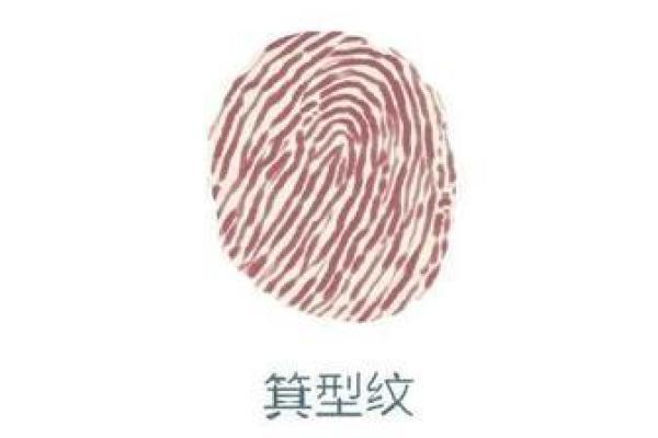 女性水命纹的美丽图案与寓意解析
