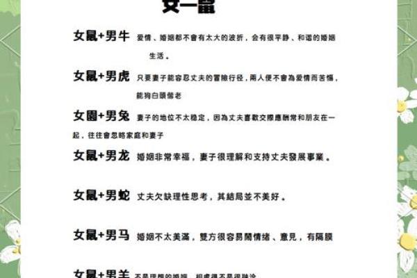 2020年鼠宝宝的命运特点与性格解析